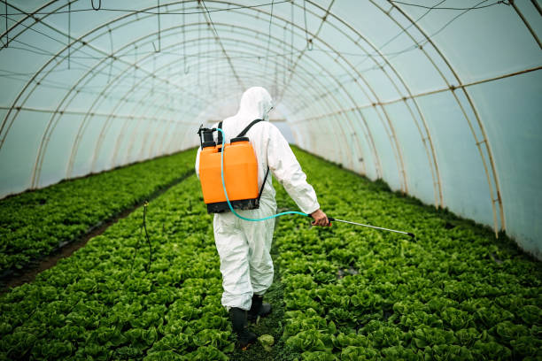 Best Emergency Pest Control  in Dewart, PA