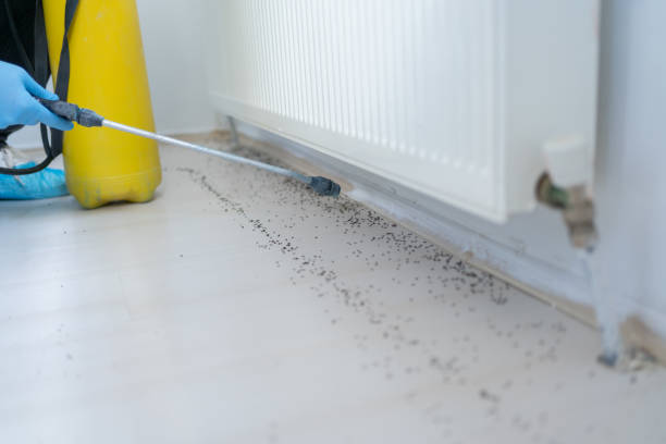 Best Rat Extermination Near Me  in Dewart, PA