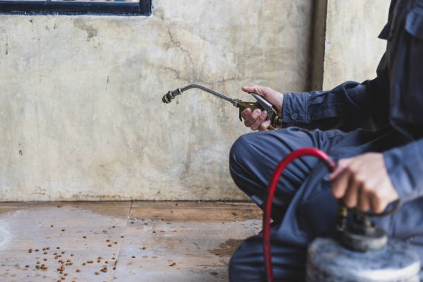 Best Affordable Pest Control Services  in Dewart, PA